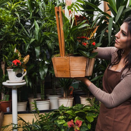 Benefits of Kitchen Gardening in Pakistan