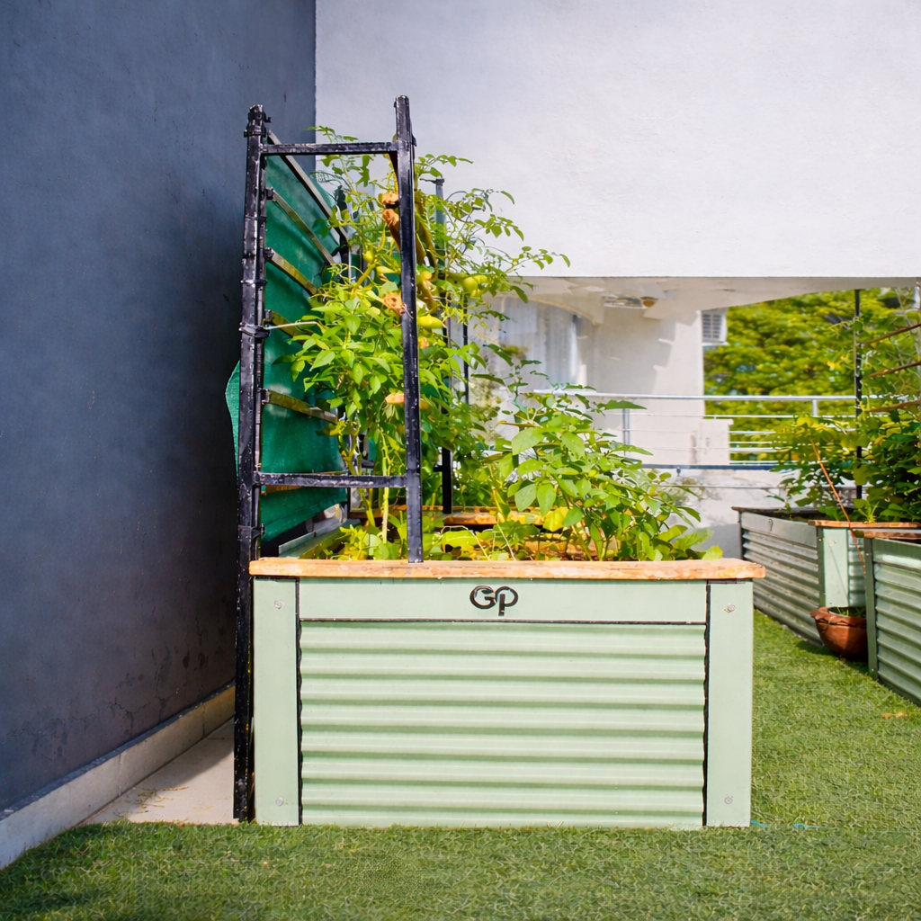 Raised Vegetable Beds