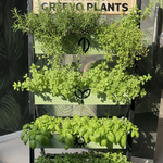 Planters herbs stands